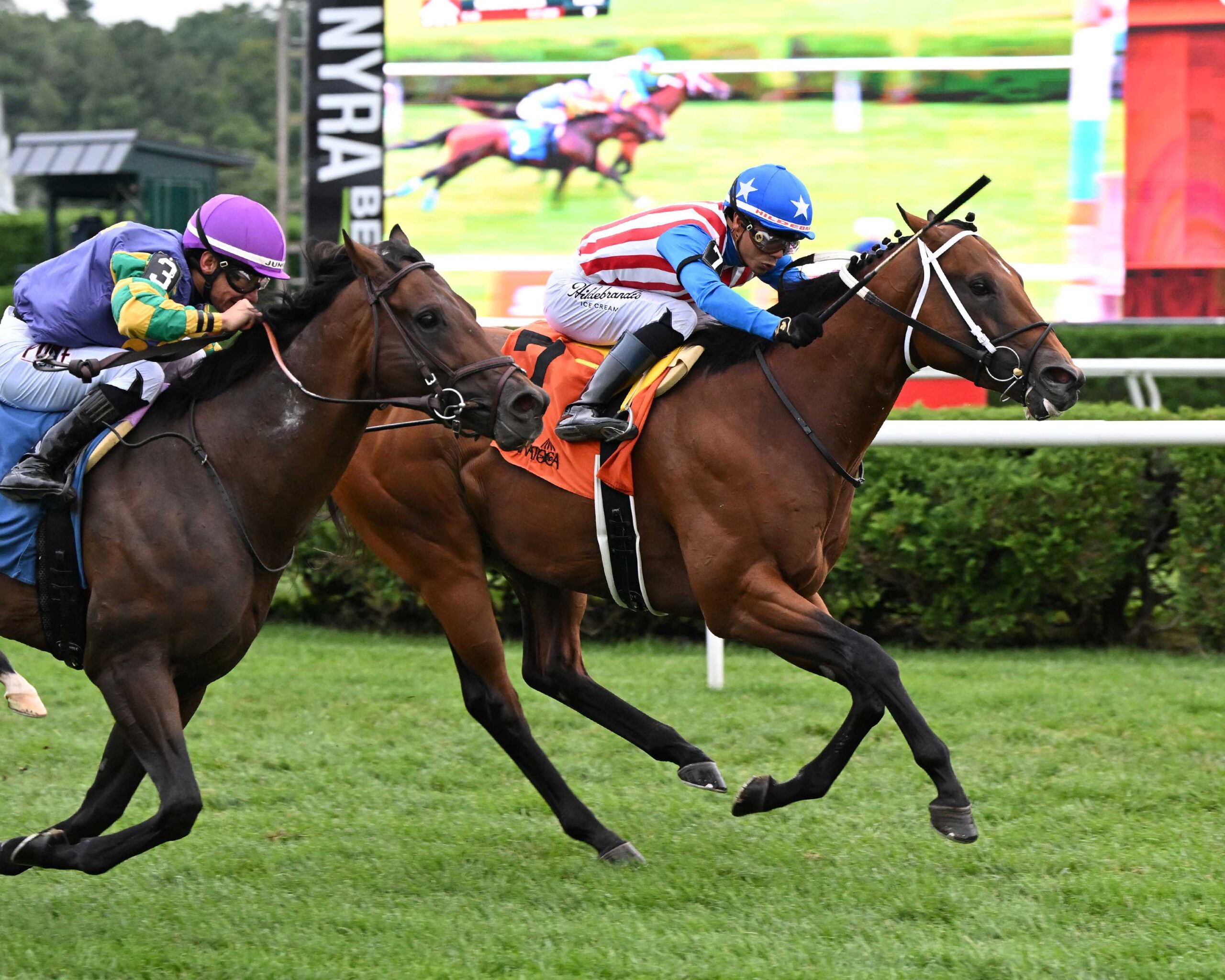 Stradale, horse, Yaupon, Mahony Stakes, domingo, 16 de agosto de 2026, Saratoga. Foto: Coglaniese Photo