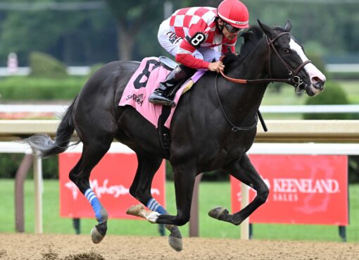 Stress Relief, horse, Not This Time, Adirondack Stakes, domingo, 2 de agosto de 2026, Saratoga. Foto: Coglaniese Photo