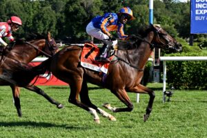 Survie, horse, Churchill, Christopher Clement Stakes, sábado, 15 de agosto de 2026, Saratoga. Foto: Coglaniese Photo