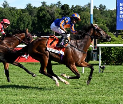 Survie, horse, Churchill, Christopher Clement Stakes, sábado, 15 de agosto de 2026, Saratoga. Foto: Coglaniese Photo