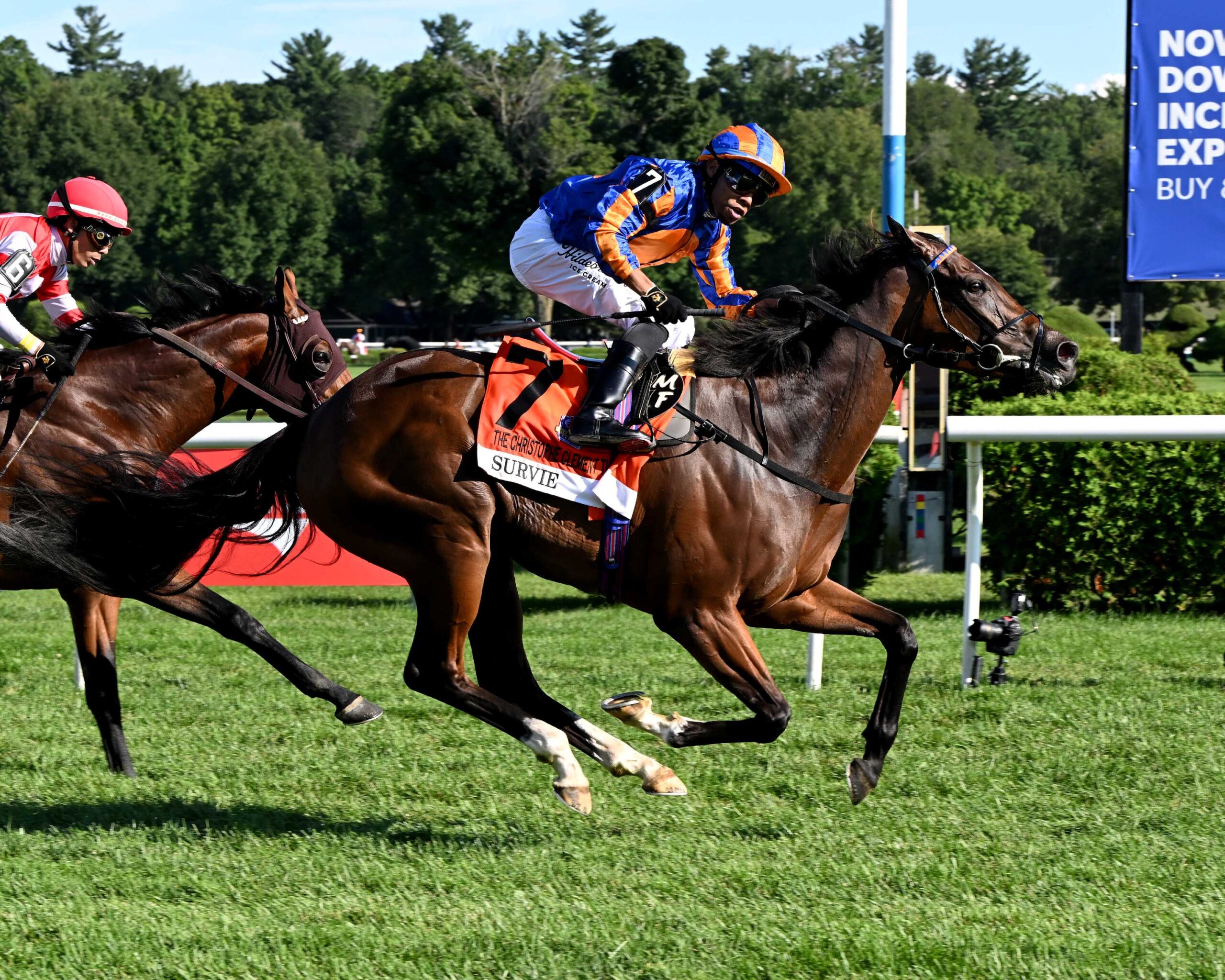 Survie, horse, Churchill, Christopher Clement Stakes, sábado, 15 de agosto de 2026, Saratoga. Foto: Coglaniese Photo