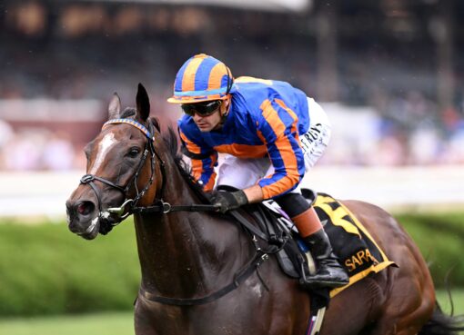 Survie, horse, Churchill, Glen Falls Stakes, domingo, 2 de agosto de 2026, Saratoga. Foto: Coglaniese Photo & Chelsea Durand