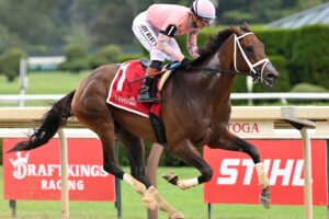Tricky Business, horse, Vekoma, Albany Stakes, domingo, 23 de agosto de 2026, Saratoga. Foto: Coglaniese Photo