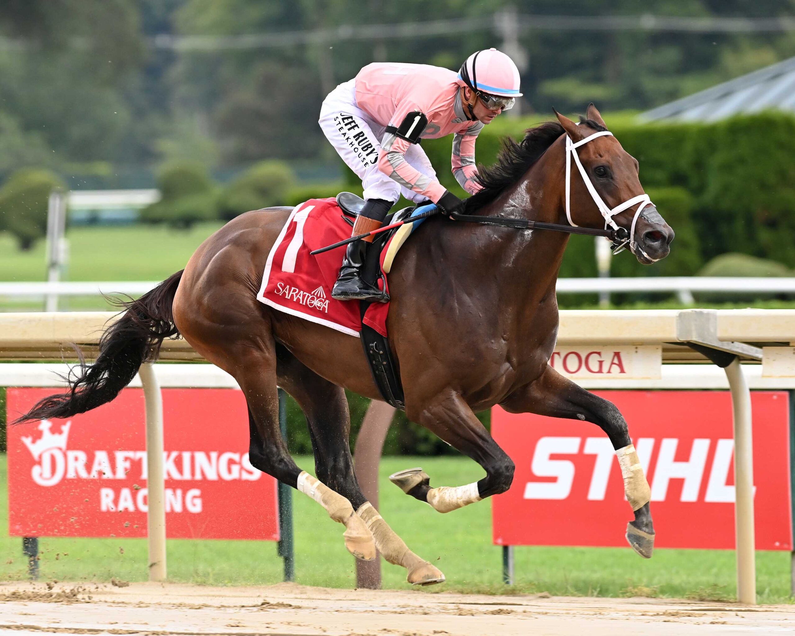 Tricky Business, horse, Vekoma, Albany Stakes, domingo, 23 de agosto de 2026, Saratoga. Foto: Coglaniese Photo
