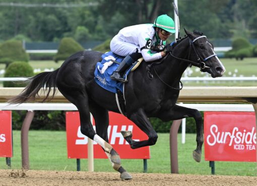 Twinkle Town, horse, Take Charge Indy, Saratoga Special Stakes, sábado, 1 de agosto de 2026, Saratoga. Foto: Coglaniese Photo