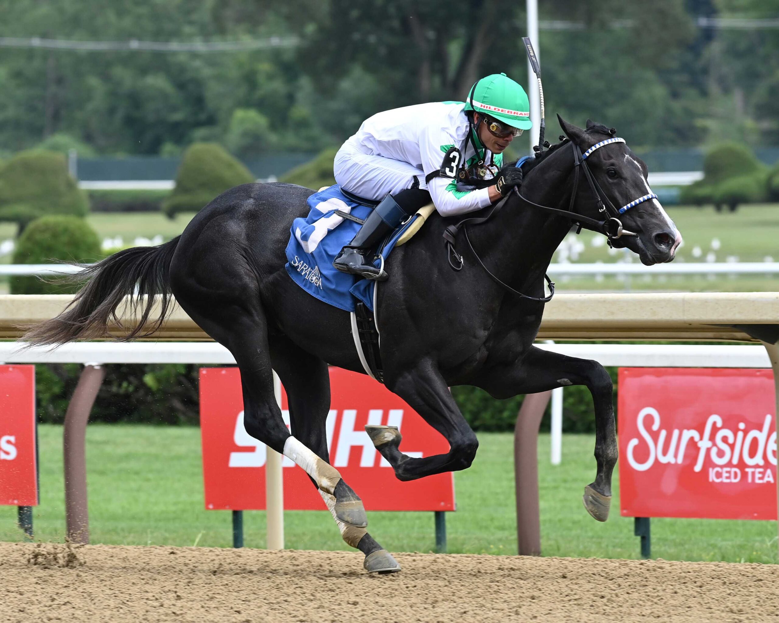 Twinkle Town, horse, Take Charge Indy, Saratoga Special Stakes, sábado, 1 de agosto de 2026, Saratoga. Foto: Coglaniese Photo