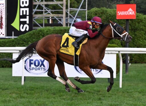 Versailles Road, horse, Todd Pletcher, 6000 primeros, sábado, 8 de agosto de 2026, Saratoga. Foto: Coglaniese Photo
