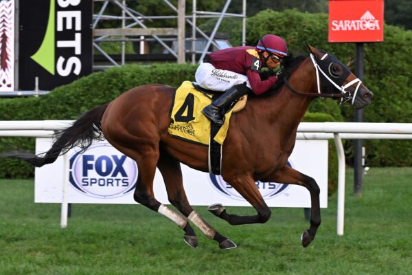 Versailles Road, horse, Todd Pletcher, 6000 primeros, sábado, 8 de agosto de 2026, Saratoga. Foto: Coglaniese Photo