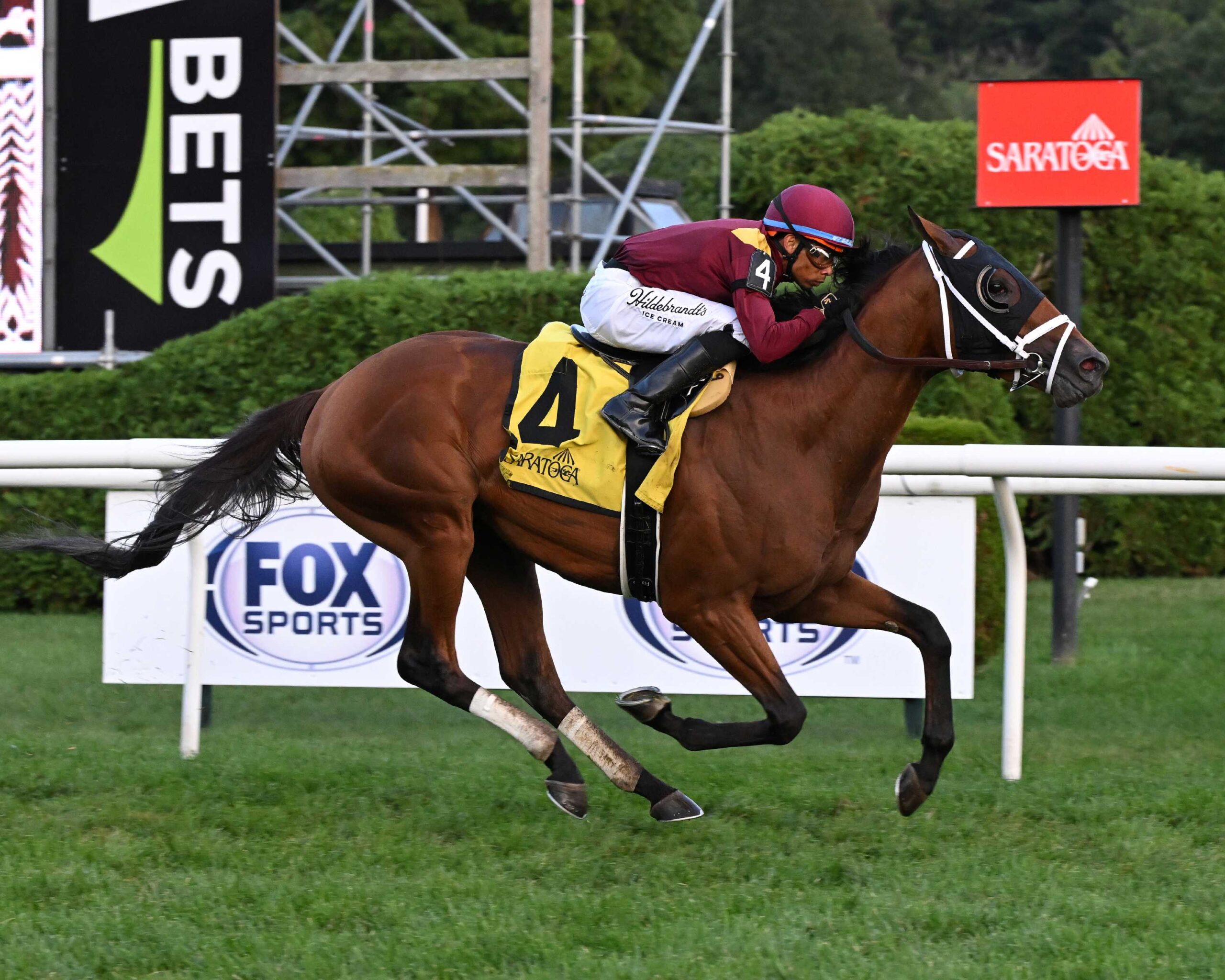 Versailles Road, horse, Todd Pletcher, 6000 primeros, sábado, 8 de agosto de 2026, Saratoga. Foto: Coglaniese Photo