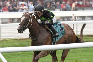 Zeitlos, horse, Stonestreet Thoroughbred Holdings, Smart N Fancy Stakes, viernes, 14 de agosto de 2026, Saratoga. Foto: Coglaniese Photo & Chelsea Durand