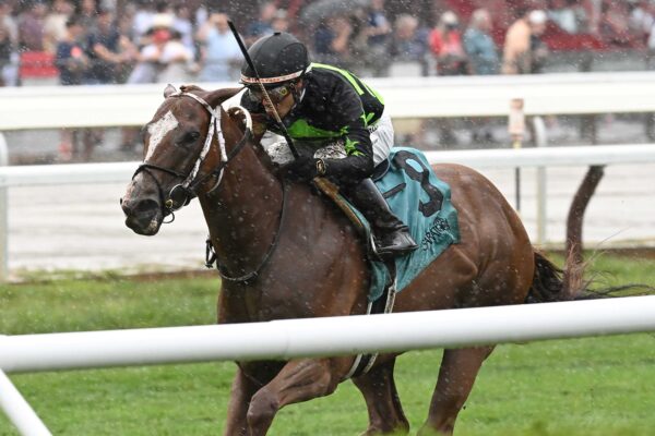 Zeitlos, horse, Stonestreet Thoroughbred Holdings, Smart N Fancy Stakes, viernes, 14 de agosto de 2026, Saratoga. Foto: Coglaniese Photo & Chelsea Durand