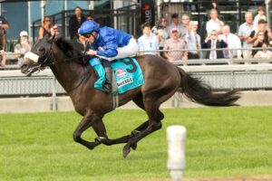 Al Hudaiba, horses, Godolphin, Summer Stakes Stakes, sábado, 12 de septiembre de 2026, Woodbine. Michael Burns Photography & Woodbine