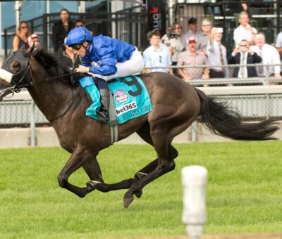 Al Hudaiba, horses, Godolphin, Summer Stakes Stakes, sábado, 12 de septiembre de 2026, Woodbine. Michael Burns Photography & Woodbine