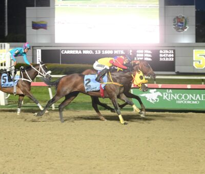 Astuto, horse, Champlain, Clásico Copa Invitacional Del Caribe, domingo, 6 de septiembre de 2026, La Rinconada. Foto: José Antonio Aray