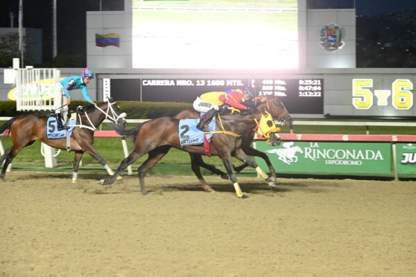 Astuto, horse, Champlain, Clásico Copa Invitacional Del Caribe, domingo, 6 de septiembre de 2026, La Rinconada. Foto: José Antonio Aray