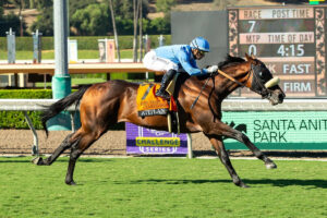 Atitlán, Horses, The Factor, John Henry Turf Championship Stakes, sábado, 26 de septiembre de 2026, Santa Anita Park. Foto: Benoit Photo