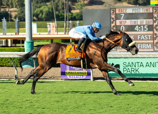 Atitlán, Horses, The Factor, John Henry Turf Championship Stakes, sábado, 26 de septiembre de 2026, Santa Anita Park. Foto: Benoit Photo