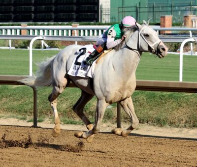 Dragoon Guard, horse, Juddmonte, Lukas Classic Stakes G2, sábado, 26 de septiembre de 2026, Keeneland. Foto: Coady Media