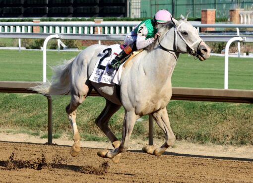 Dragoon Guard, horse, Juddmonte, Lukas Classic Stakes G2, sábado, 26 de septiembre de 2026, Keeneland. Foto: Coady Media