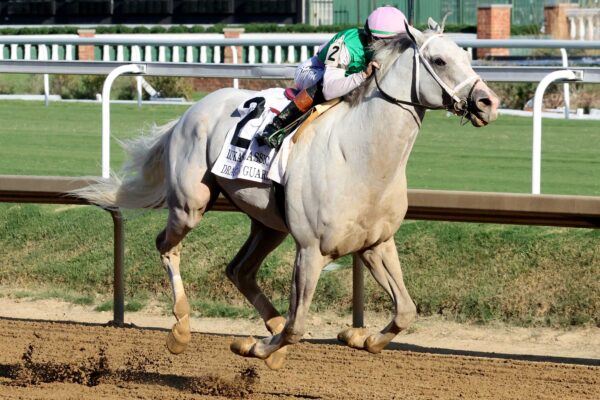 Dragoon Guard, horse, Juddmonte, Lukas Classic Stakes G2, sábado, 26 de septiembre de 2026, Keeneland. Foto: Coady Media
