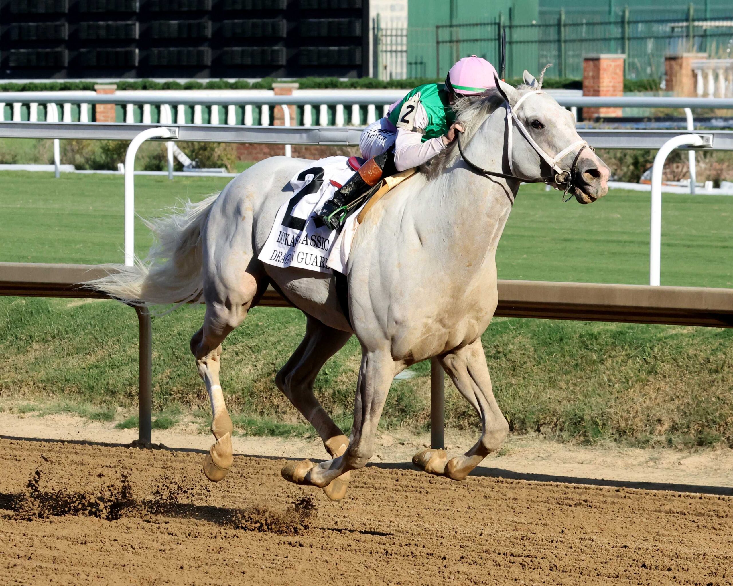 Dragoon Guard, horse, Juddmonte, Lukas Classic Stakes G2, sábado, 26 de septiembre de 2026, Keeneland. Foto: Coady Media