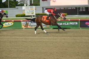 Ekati King, horse, Copa Belleza Venezolana, domingo, 13 de septiembre de 2026, La Rinconada. Foto: José Antonio Aray