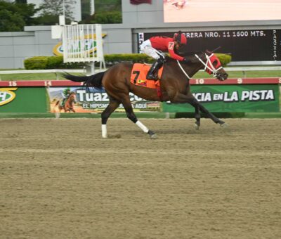 Ekati King, horse, Copa Belleza Venezolana, domingo, 13 de septiembre de 2026, La Rinconada. Foto: José Antonio Aray