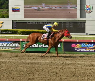 Fátima Blush, horses, Gun Runner, Clásico Gelinotte, domingo, 13 de septiembre de 2026, La Rinconada. Foto: José Antonio Aray