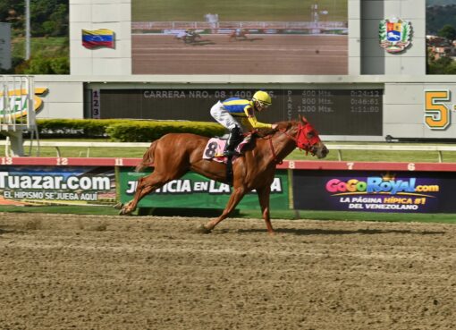 Fátima Blush, horses, Gun Runner, Clásico Gelinotte, domingo, 13 de septiembre de 2026, La Rinconada. Foto: José Antonio Aray