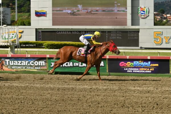 Fátima Blush, horses, Gun Runner, Clásico Gelinotte, domingo, 13 de septiembre de 2026, La Rinconada. Foto: José Antonio Aray