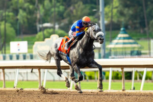 Forged Steel, horse, Vekoma, Goodwood Stakes, sábado, 26 de septiembre de 2026, Santa Anita Park. Foto: Benoit Photo