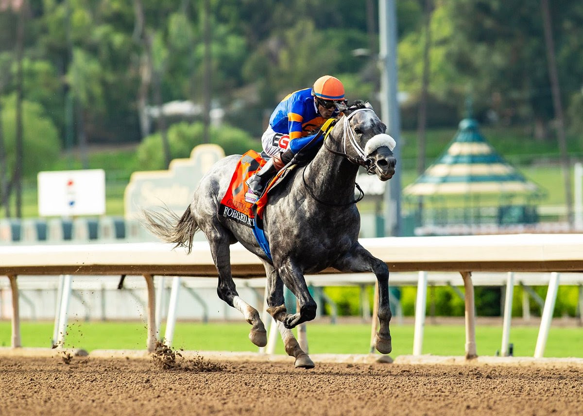 Forged Steel, horse, Vekoma, Goodwood Stakes, sábado, 26 de septiembre de 2026, Santa Anita Park. Foto: Benoit Photo