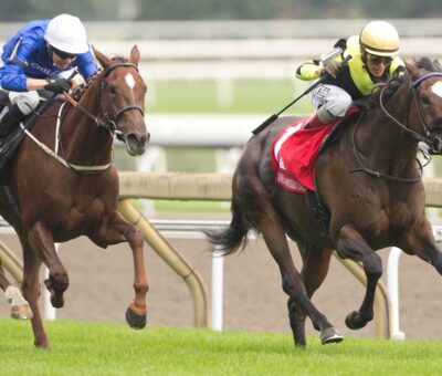 Gimme A Nother, horses, Wilgerbosdrift & Mauritzfontein, E. P. Taylor Stakes, sábado, 12 de septiembre de 2026, Woodbine. Michael Burns Photography & Woodbine