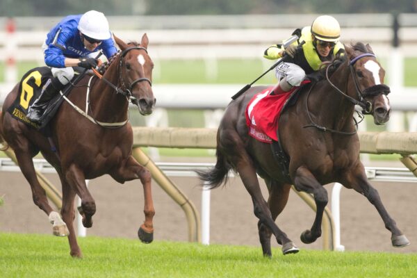 Gimme A Nother, horses, Wilgerbosdrift & Mauritzfontein, E. P. Taylor Stakes, sábado, 12 de septiembre de 2026, Woodbine. Michael Burns Photography & Woodbine