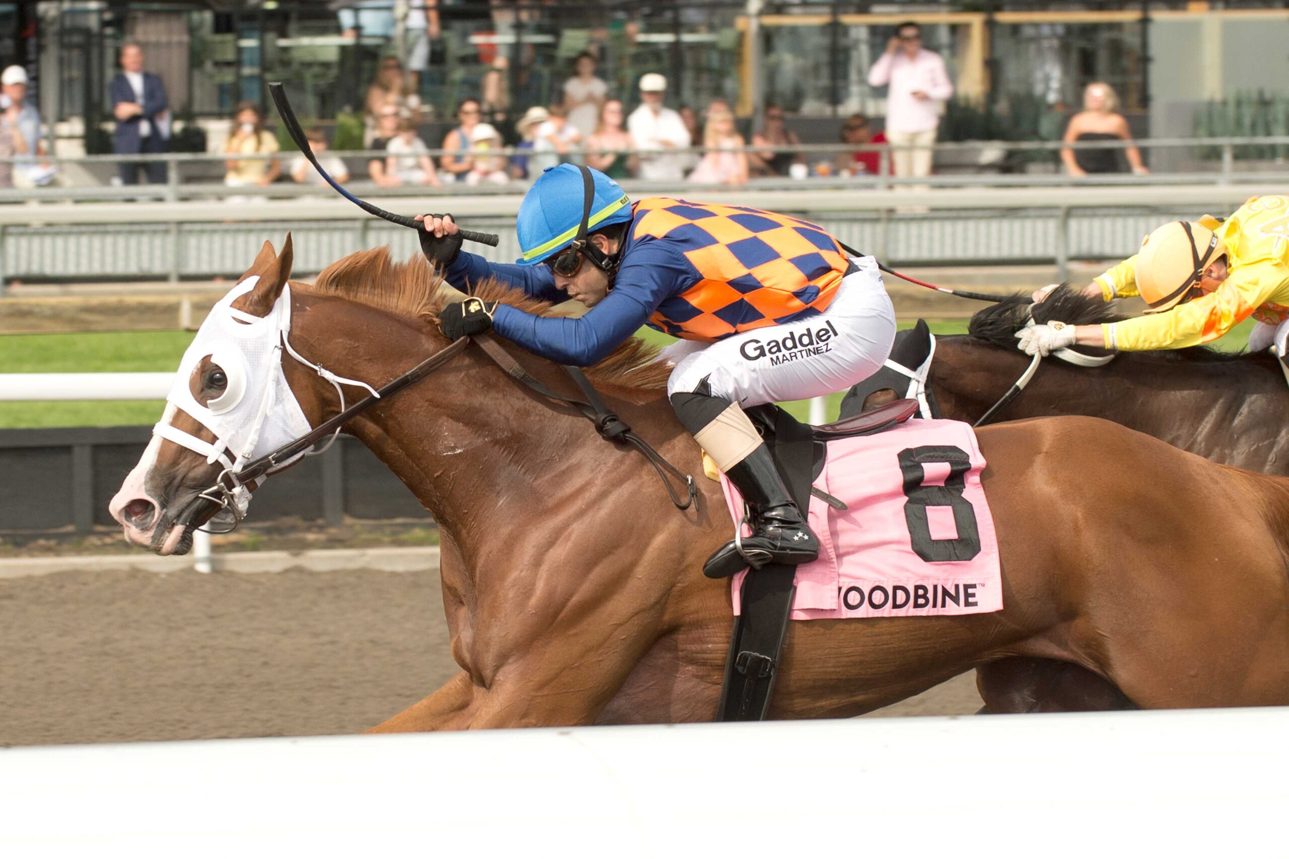 Heavy Pour, horses, Stormy Atlantic, Vigil Stakes, sábado, 12 de septiembre de 2026, Woodbine. Michael Burns Photography & Woodbine