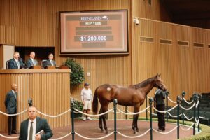 Potro, 1686, Nyquist en Alexandria por Constitution, sesión 6, Keeneland Sales, domingo, 20 de septiembre de 2026, Keeneland. Foto: Keeneland