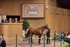 Potro, 84, Gun Runner en Twenty Carat por Into Mischief, sesión 1, Keeneland Sales, lunes, 14 de septiembre de 2026, Keeneland. Foto: Keeneland