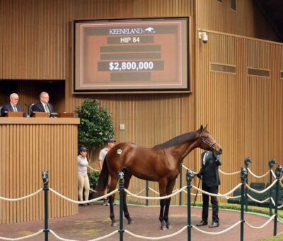 Potro, 84, Gun Runner en Twenty Carat por Into Mischief, sesión 1, Keeneland Sales, lunes, 14 de septiembre de 2026, Keeneland. Foto: Keeneland