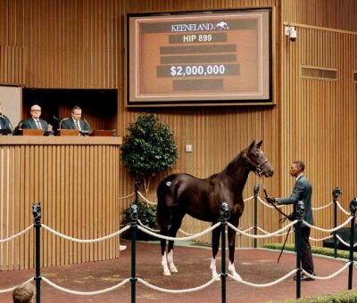 Potro, 899, Not This Time en Believe You Can por Proud Citizen, sesión 4, Keeneland Sales, jueves, 17 de septiembre de 2026, Keeneland. Foto: Keeneland