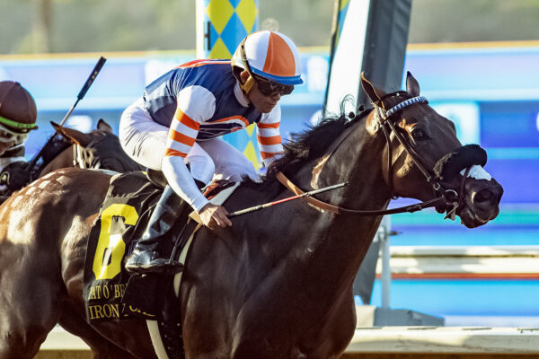 Iron Man Cal, Horses, Collected, Pat O´Brien Stakes, sábado, 29 de agosto de 2026, Del Mar. Foto: Benoit Photo