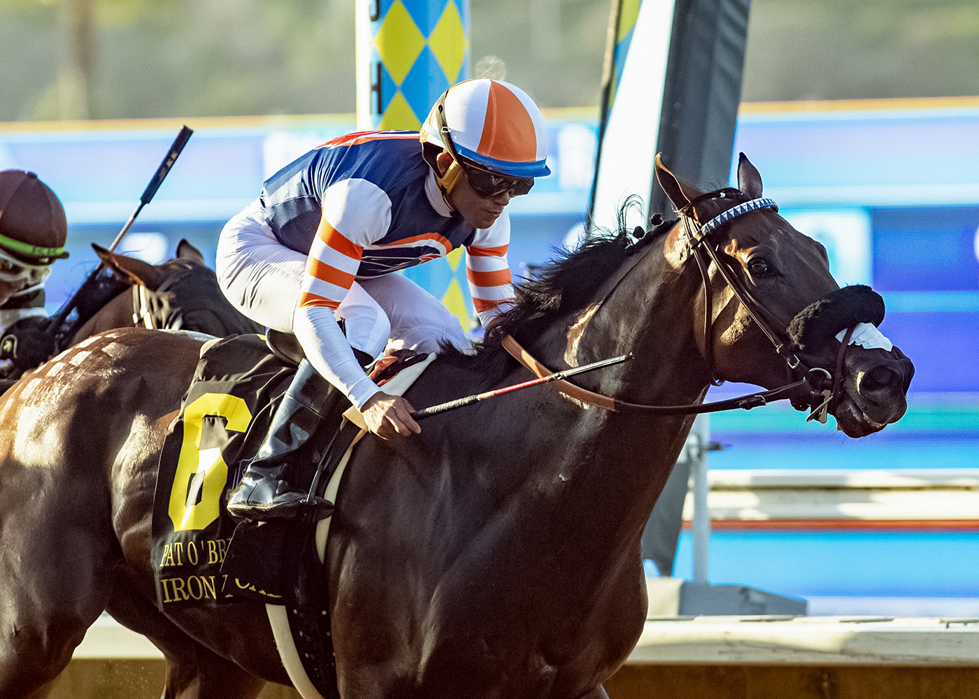 Iron Man Cal, Horses, Collected, Pat O´Brien Stakes, sábado, 29 de agosto de 2026, Del Mar. Foto: Benoit Photo