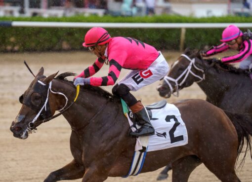 Kerry´s Kiss, horse, Vino Rosso, Princess Rooney Stakes, sábado, 12 de septiembre de 2026, Gulsftream Park. Foto: Coglianese Photo & Sonny Hughes
