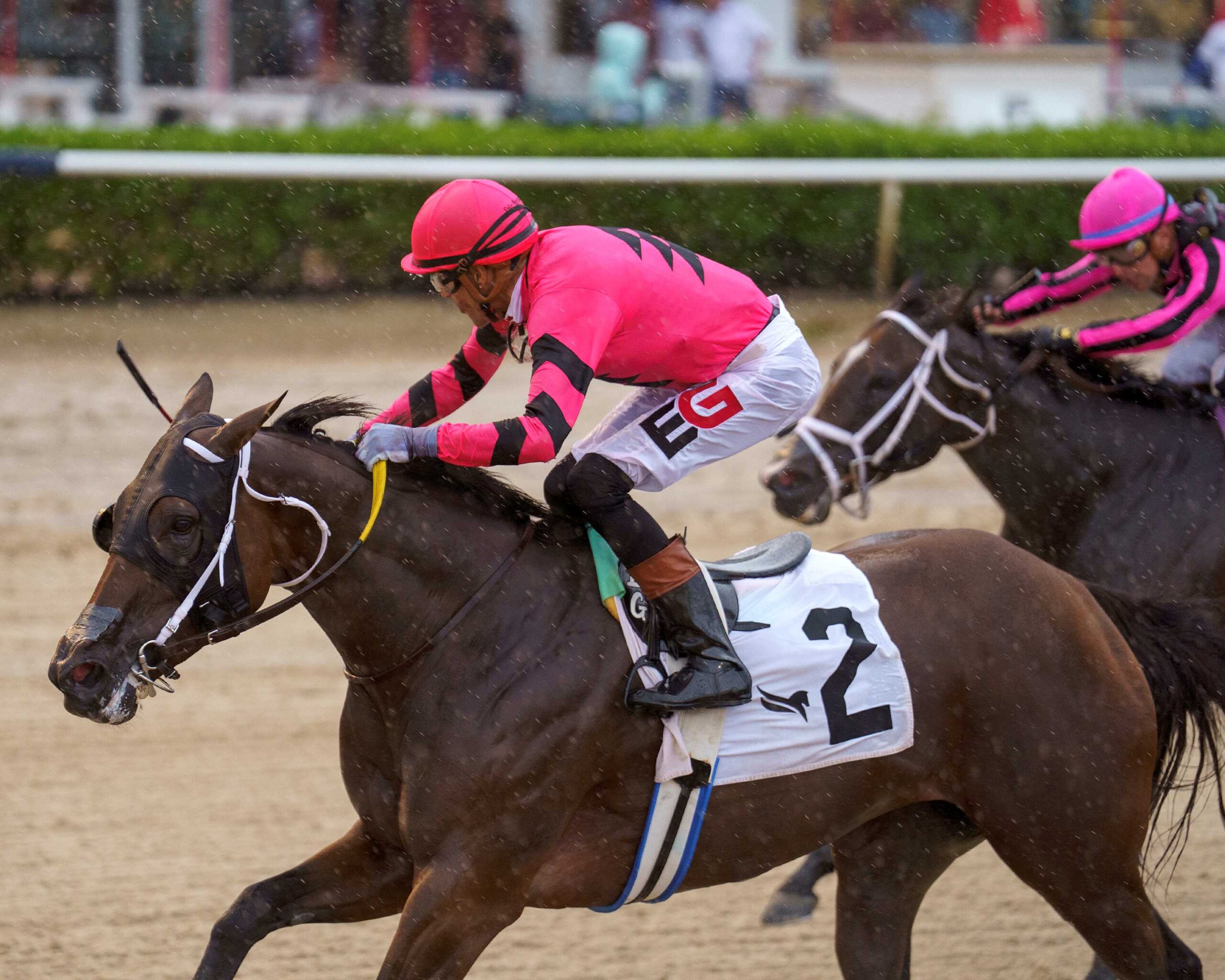 Kerry´s Kiss, horse, Vino Rosso, Princess Rooney Stakes, sábado, 12 de septiembre de 2026, Gulsftream Park. Foto: Coglianese Photo & Sonny Hughes