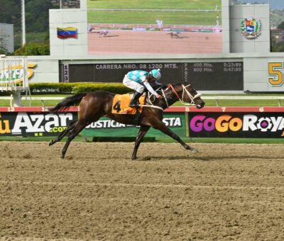 Klimanjaro, horse, Roger Rocket, Clásico Victoreado, domingo, 20 de septiembre de 2026, La Rinconada. Foto: José Antonio Aray