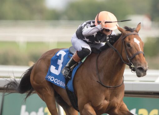 Lupa, horses, Rabbah Blockstock Limited, Matron Stakes, sábado, 12 de septiembre de 2026, Woodbine. Michael Burns Photography & Woodbine