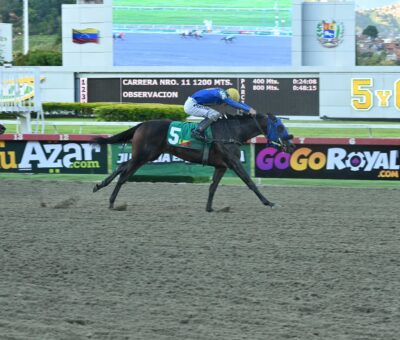 Meheble, horse, Champlain, Clásico Lanzarina, domingo, 20 de septiembre de 2026, La Rinconada. Foto: José Antonio Aray