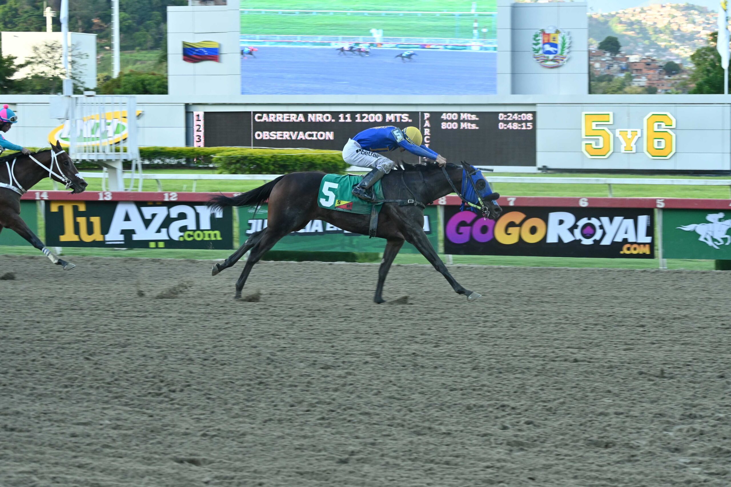 Meheble, horse, Champlain, Clásico Lanzarina, domingo, 20 de septiembre de 2026, La Rinconada. Foto: José Antonio Aray