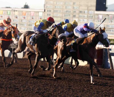 Morrison, horses, Tiz The Law, Clásico Dos Mil Guineas, sábado, 6 de septiembre de 2026, Hipódromo Chile. Foto: Jaime Cortés