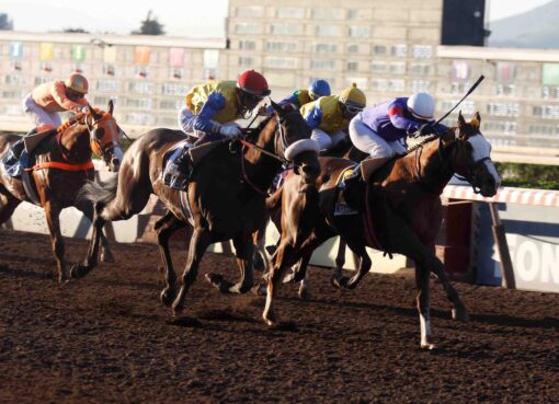 Morrison, horses, Tiz The Law, Clásico Dos Mil Guineas, sábado, 6 de septiembre de 2026, Hipódromo Chile. Foto: Jaime Cortés