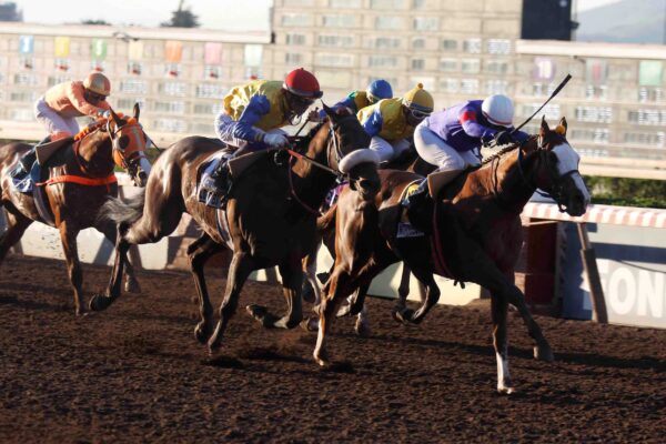 Morrison, horses, Tiz The Law, Clásico Dos Mil Guineas, sábado, 6 de septiembre de 2026, Hipódromo Chile. Foto: Jaime Cortés